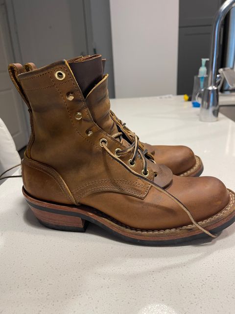 Photo by indigo_flame on September 12, 2024 of the Nicks Robert in Horween Orange Predator.