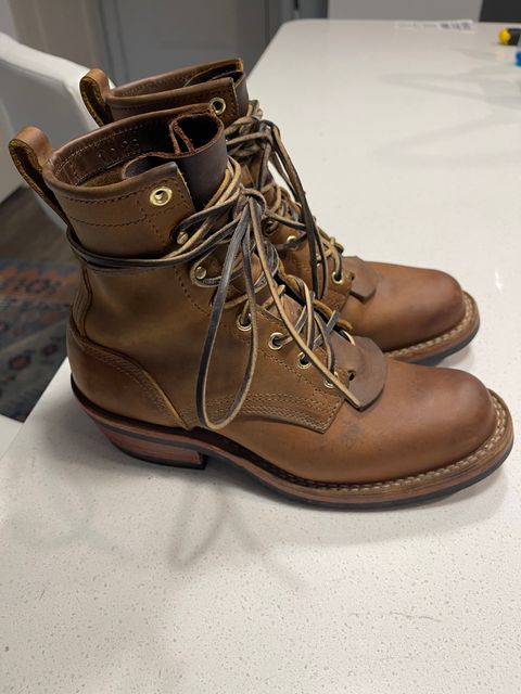 Photo by indigo_flame on September 12, 2024 of the Nicks Robert in Horween Orange Predator.