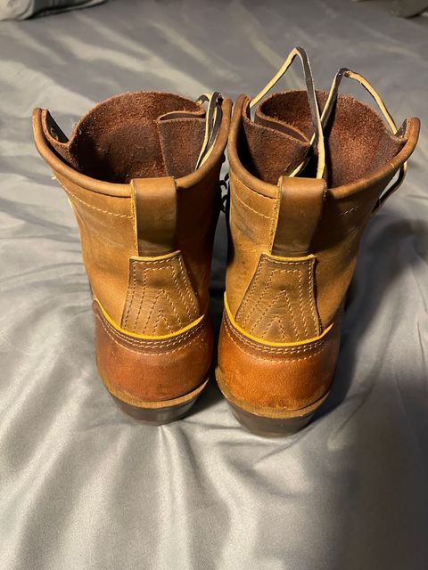 Photo by indigo_flame on February 8, 2025 of the Nicks Robert in Horween Orange Predator.