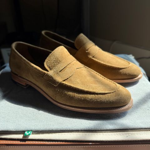Photo by moznme on July 14, 2026 of the Meermin Unlined Penny Loafer in C.F. Stead Atacama Rapello Calf Suede.