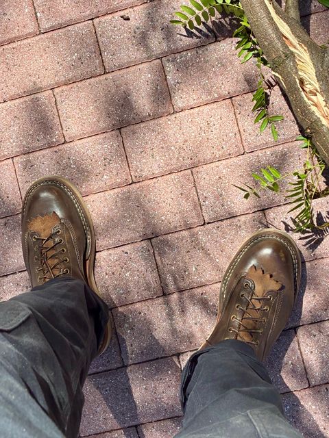 Photo by Vic on July 8, 2026 of the White's C350ltt-cs in Horween Greener Pastures Dublin.