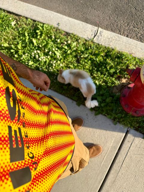 Photo by Vic on June 4, 2026 of the Jim Green Vellie in Kahki Ruffout.