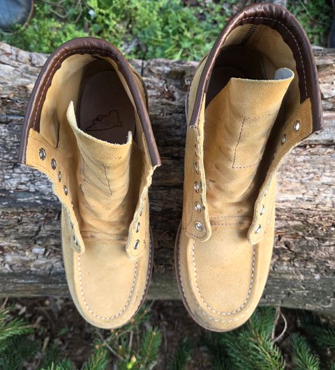 Photo by bootsforlife on April 4, 2026 of the Red Wing 6-Inch Classic Moc in S.B. Foot Hawthorne Abilene.