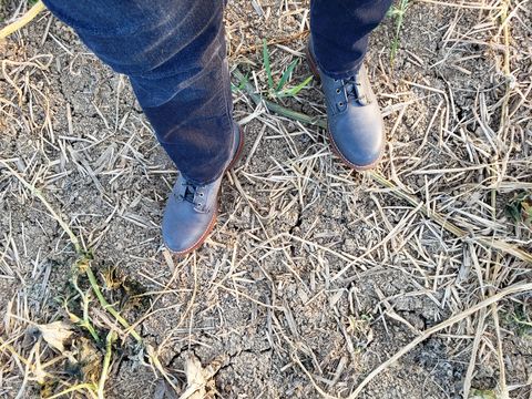 Photo by bootsforlife on October 19, 2024 of the Wolverine 1000 Mile Plain-Toe Boot in Horween Olive Tanned.