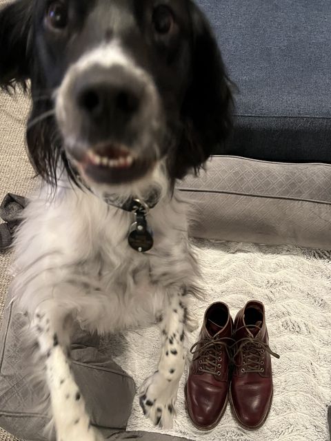 Photo by central209 on December 6, 2022 of the Viberg Service Boot in Horween Color 8 Chromexcel.