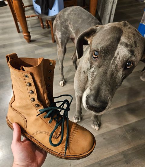 Photo by Mobius_Mustache on October 8, 2024 of the Jim Green African Ranger Barefoot Boot in Fudge Crazy Horse.