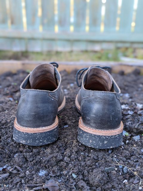 Photo by patinathunderdome on November 3, 2021 of the Oak Street Bootmakers Trench Oxford in Seidel Carbon Bark Veg Retan.