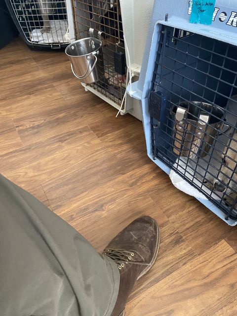 Photo by patinathunderdome on December 1, 2021 of the Viberg Service Boot in Washed Horsehide (Miloh Shop).