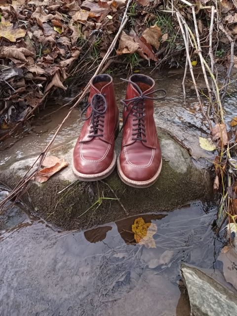 Photo by patinathunderdome on November 3, 2021 of the Alden Indy Boot in Horween Mahogany Legacy.