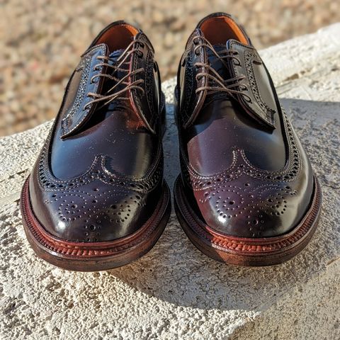 Photo by botasblancas on January 14, 2024 of the Alden Long Wing Blucher in Horween Color 8 Shell Cordovan.