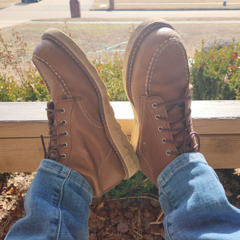 Photo by wildflowersnboots on February 5, 2026 of the Red Wing 6-Inch Classic Moc in Mocha Oro Iginal.