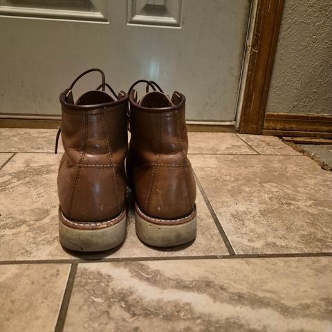 Photo by wildflowersnboots on March 6, 2026 of the Red Wing 6-Inch Classic Moc in Mocha Oro Iginal.