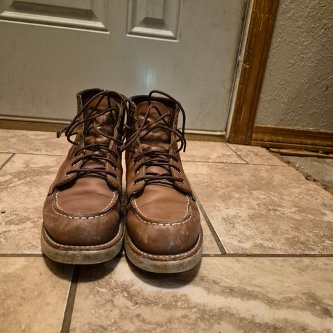 Photo by wildflowersnboots on March 6, 2026 of the Red Wing 6-Inch Classic Moc in Mocha Oro Iginal.