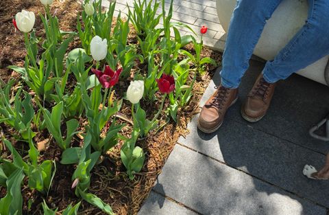 Photo by wildflowersnboots on April 4, 2026 of the Red Wing 6-Inch Classic Moc in Mocha Oro Iginal.