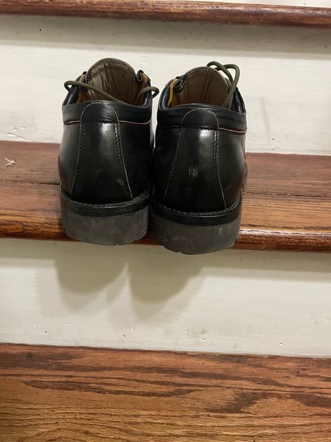 Photo by mriv98 on January 5, 2024 of the Sagara Trailmaster in Indonesian Black Teacore.