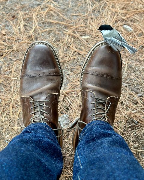 Photo by mattmcmhn on January 5, 2023 of the Viberg Service Boot BCT in Guidi Olive Calf.