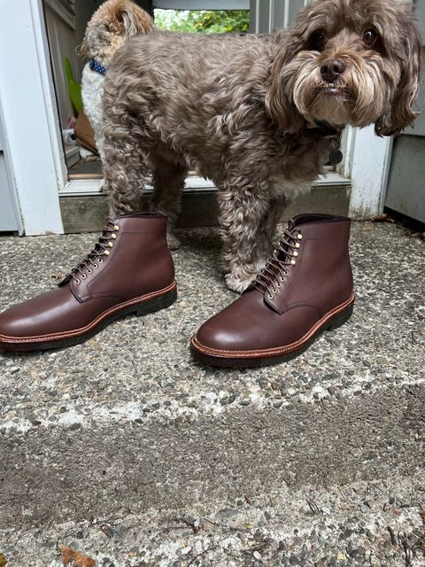 Photo by drtobiassfunke on October 2, 2022 of the Alden Plain Toe Boot in Dark Brown Pegasus Calf.