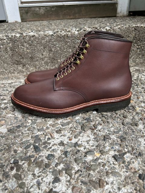 Photo by drtobiassfunke on October 2, 2022 of the Alden Plain Toe Boot in Dark Brown Pegasus Calf.
