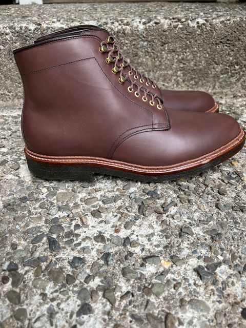 Photo by drtobiassfunke on October 2, 2022 of the Alden Plain Toe Boot in Dark Brown Pegasus Calf.