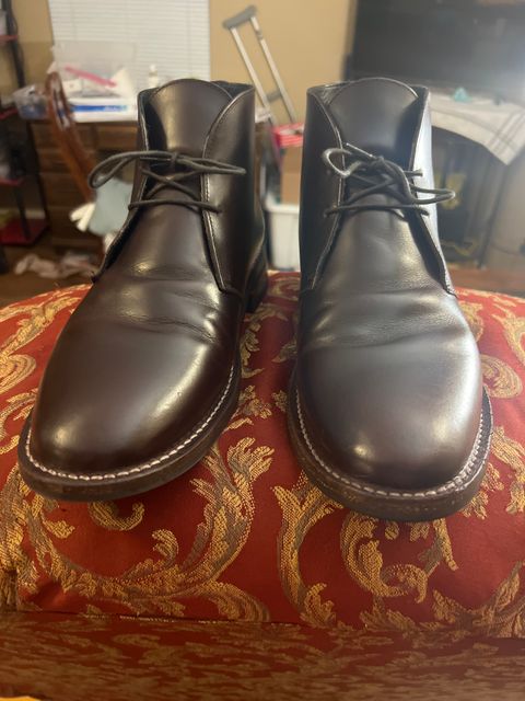 Photo by Trickmasterno1 on April 8, 2023 of the Thursday Scout in Brown Thursday Chrome.