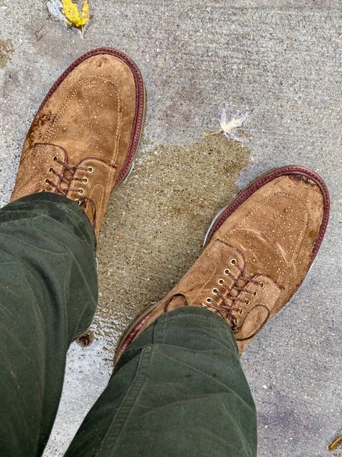 Photo by bootsandblocks on November 10, 2024 of the Alden Indy Boot in Snuff Suede.
