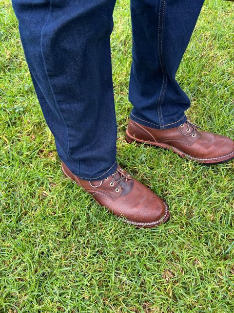 Photo by Snailchang on November 20, 2025 of the Nicks Falcon in Italian Brown Cypress.