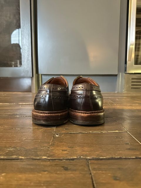 Photo by full_brogue on December 4, 2022 of the Alden Long Wing Blucher in Horween Color 8 Shell Cordovan.