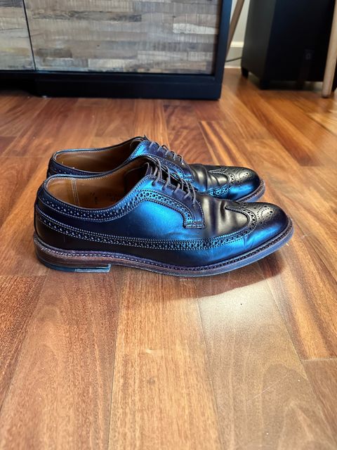 Photo by full_brogue on January 5, 2023 of the Alden Long Wing Blucher in Horween Color 8 Shell Cordovan.