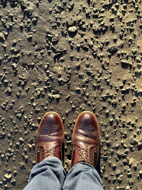 Photo by full_brogue on February 5, 2023 of the Alden Long Wing Blucher in Horween Color 8 Shell Cordovan.