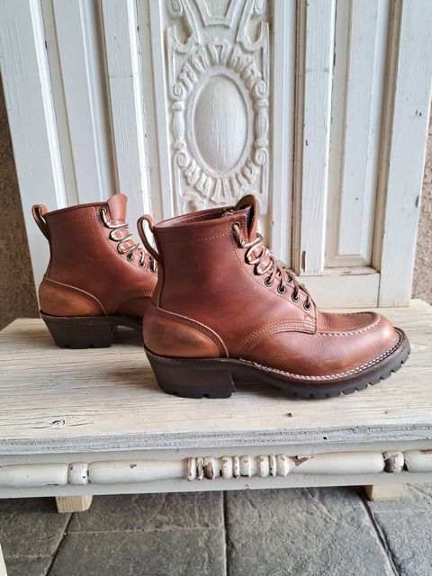 Photo by jdog21 on April 6, 2024 of the Nicks Robert in Seidel 1964 Brown.
