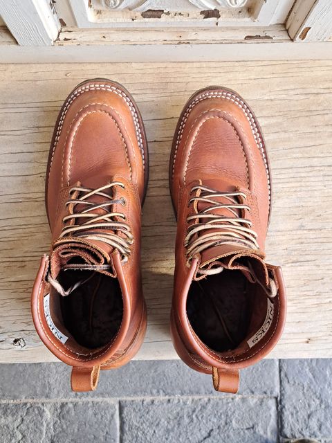 Photo by jdog21 on April 6, 2024 of the Nicks Robert in Seidel 1964 Brown.