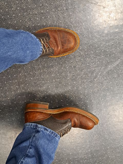 Photo by jdog21 on January 25, 2024 of the White's Bounty Hunter in Law Tanning Brown Bison & Brown Bull Hide.