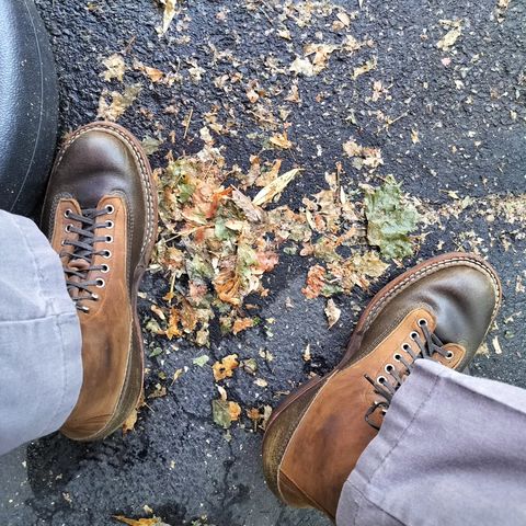 Photo by a1moyer on August 26, 2024 of the White's 375 LTT Construction Boot in Seidel Distressed Smooth & Horween Olive Waxed Flesh.
