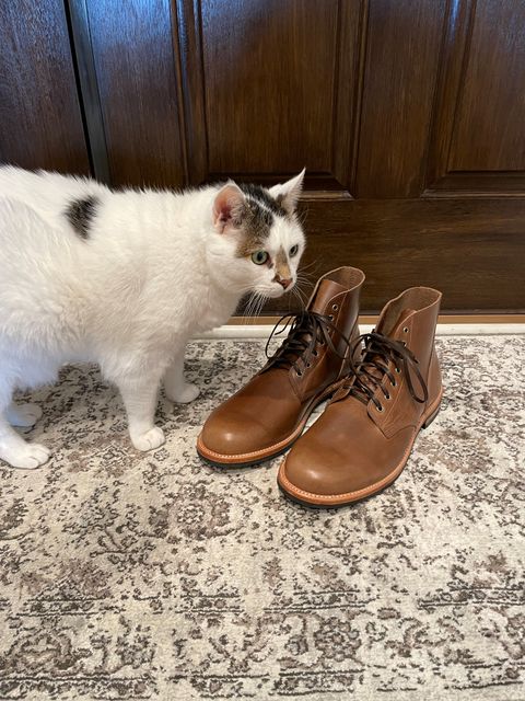 Photo by cstowe2120 on October 1, 2022 of the Oak Street Bootmakers Field Boot in Horween Natural Chromexcel.