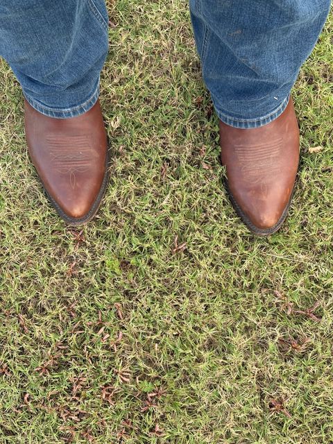 Photo by csburkhalter on October 9, 2025 of the Kemo Sabe Grit (JB Hill) Brandable Cowboy Boot in Chocolate Ranch Hand.