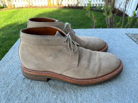 Photo by npaust on April 5, 2024 of the Grant Stone Chukka in C.F. Stead Tan Repello Calf Suede.
