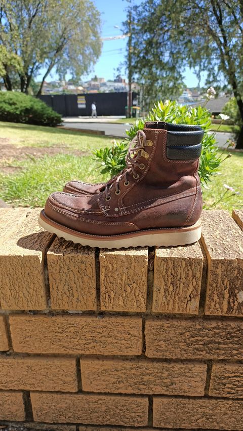 Photo by ajsoo on February 4, 2023 of the Grant Stone Field Boot in C.F. Stead Dark Burgundy Classic Kudu.