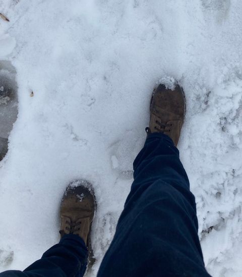 Photo by cconway816 on February 5, 2024 of the Oak Street Bootmakers Field Boot in Horween Natural Chromexcel Roughout.