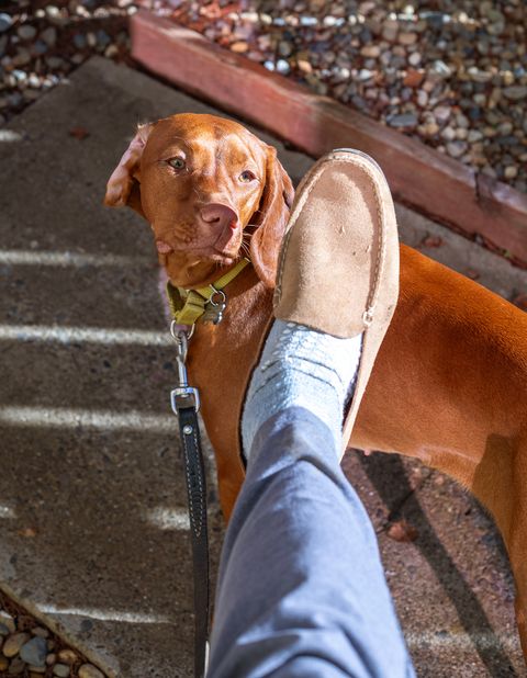 Photo by Frontinstein on December 1, 2023 of the Rancourt & Co. Bristol Venetian in Horween Marine Field Roughout.