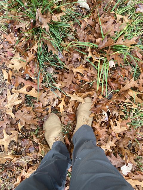 Photo by dandandan on November 11, 2024 of the Oak Street Bootmakers Trench Boot in Horween Natural Chromexcel Roughout.