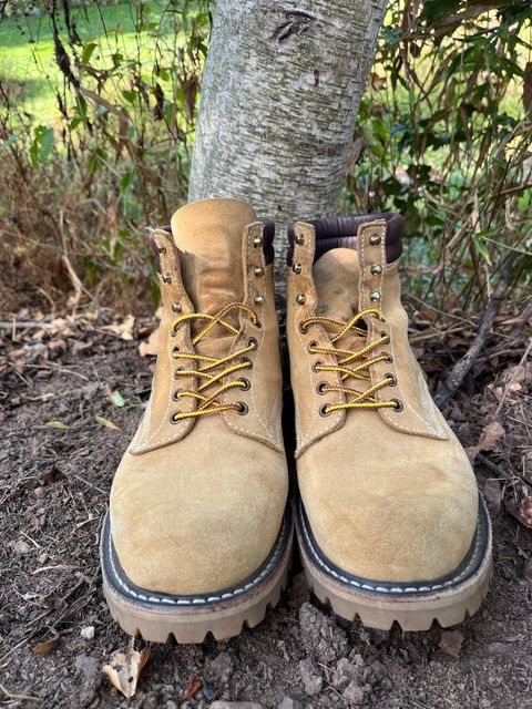 Photo by Chhh1984 on October 2, 2025 of the White's X Filson Shop Boot in Seidel Natural Suede.