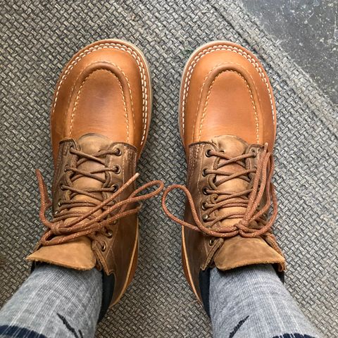 Photo by todd_ted on July 3, 2026 of the Nicks Ridgeline Hiking Boot in Seidel WeatherShield Brown.