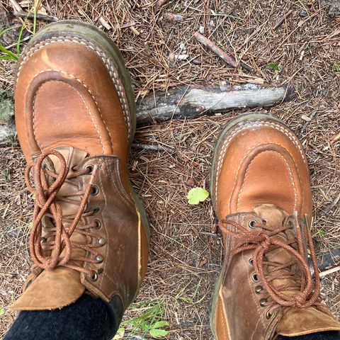 Photo by todd_ted on July 14, 2026 of the Nicks Ridgeline Hiking Boot in Seidel WeatherShield Brown.