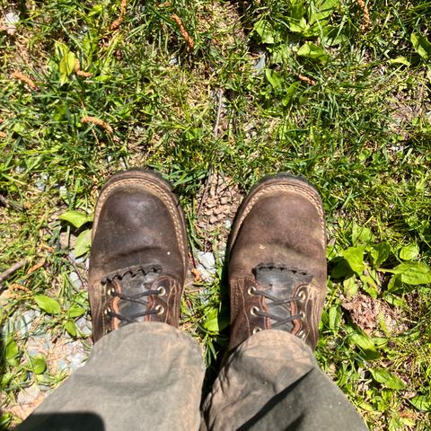 Photo by todd_ted on May 11, 2023 of the Nicks Urban Logger in Horween Brown Waxed Flesh.
