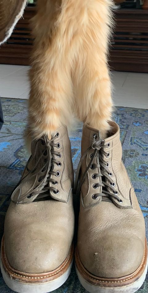 Photo by lonewolfpacman on April 2, 2024 of the Viberg Scout Boot in C.F. Stead Nomad Bokhara Nubuck.
