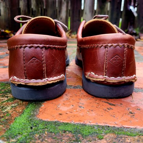 Photo by Das_Bones on December 30, 2023 of the Quoddy Blucher in Unknown Leather.