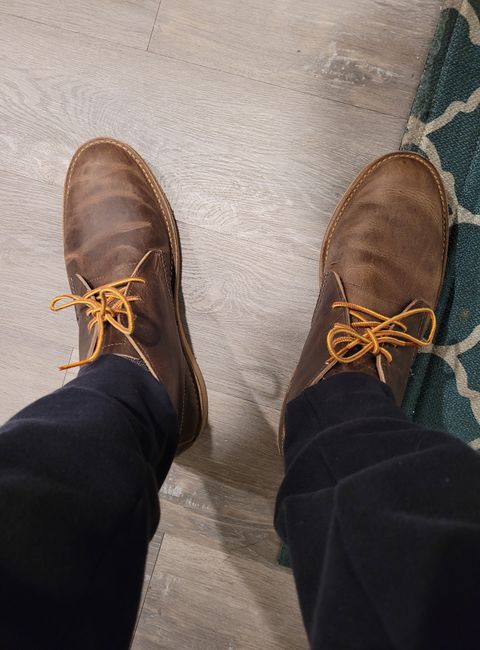 Photo by quantum_quetzal on November 1, 2022 of the Red Wing Weekender Chukka in S.B. Foot Charcoal Rough and Tough.