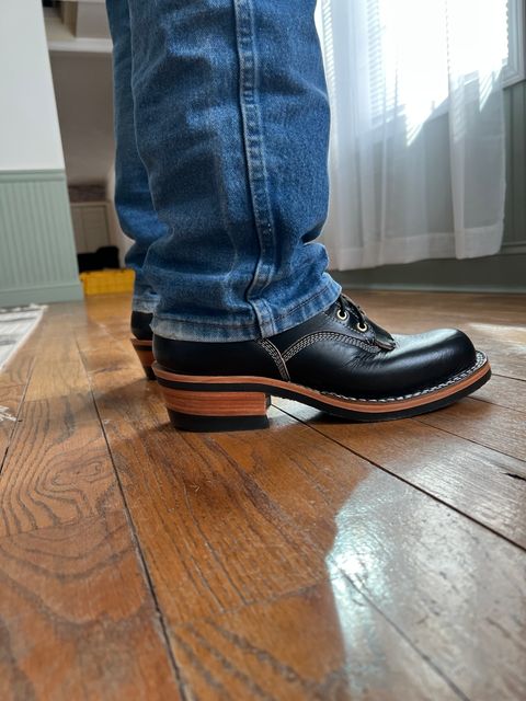 Photo by wcurry_1 on January 30, 2025 of the Frank's Boots Wilson in Horween Black Chromexcel.