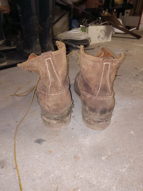 Photo by peanutbutter on February 6, 2024 of the Wesco Jobmaster in Seidel British Tan Domain Roughout.