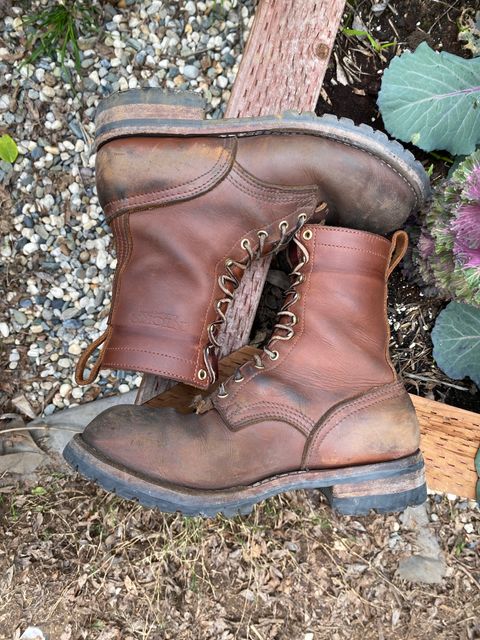 Photo by whiskey.bootlaces on March 5, 2024 of the Nicks BuilderPro in Seidel 1964 Brown.